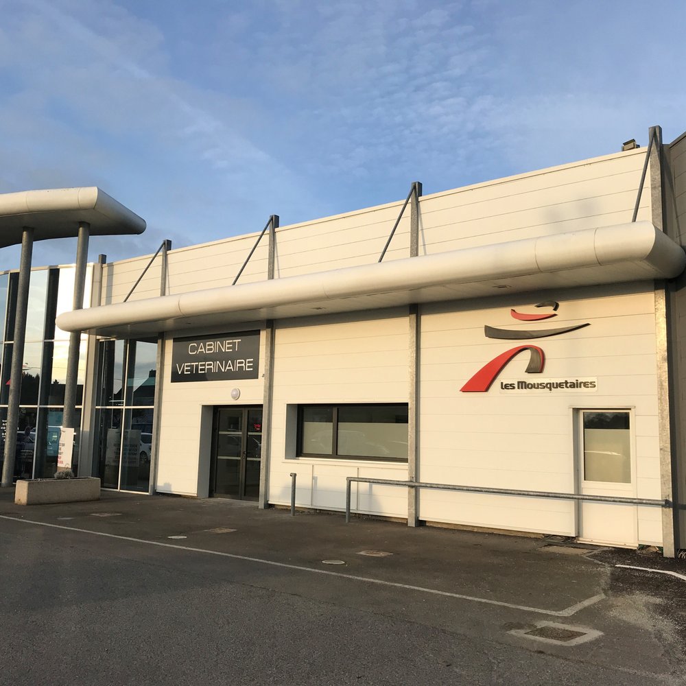 THE BEST 10 Veterinarians in DAMGAN, MORBIHAN, FRANCE - Quality &  Affordability - Clinique Vétérinaire Sainte Catherine, Clinique Vétérinaire  Vermoesen Boerlen, Clinique Vétérinaire Dr Robert et Pirquin - Updated 2026  - Yelp