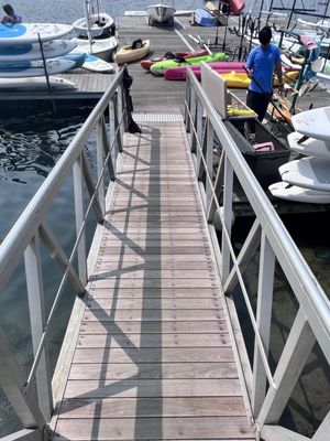 Jamaica Pond Park by null