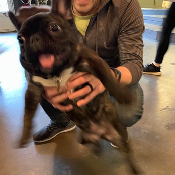 Dogwood Play Park - JUST LOOK AT THAT HAPPY FACE! - Dog Parks Near Me - Seattle, Washington Dogwood Play Park - JUST LOOK AT THAT HAPPY FACE! - Dog Parks Near Me - Seattle, Washington