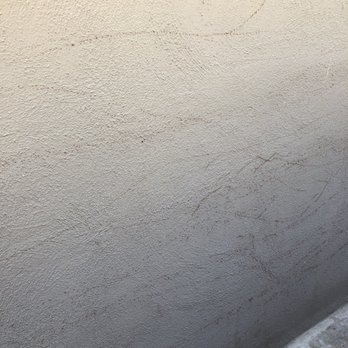 Tony's BC Tree Service - Tree Services Near Me - Orange, California Tony's BC Tree Service - Tree Services Near Me - Orange, California