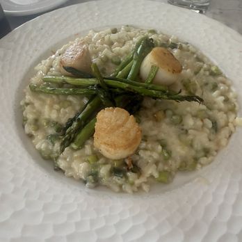Bistro 31 - Carnaroli Risotto of the Day - French Near Me - Dallas, Texas Bistro 31 - Carnaroli Risotto of the Day - French Near Me - Dallas, Texas