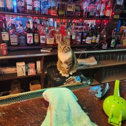 American Legion Dugout Bar - Backup bartender last night...