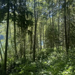 Spada Lake Culmback Dam - Lake view