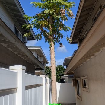 Hawaii Scenescape - Landscaping Near Me