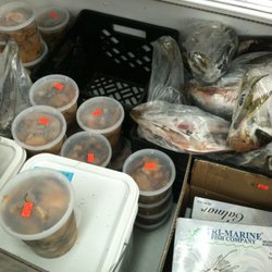 Julian's Bait Co