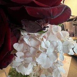 Note the black petals where the rose is dying.