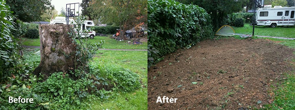 Action Tree Service - tree service in Grand Rapids, MI