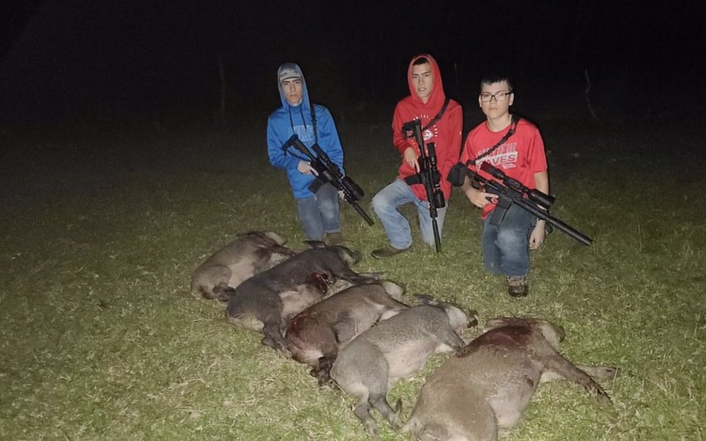 TexasGuidedHogHunts