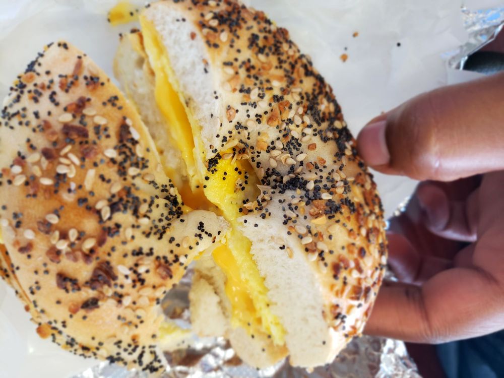 BAGELS ON BARTOW 43 Photos & 66 Reviews Bagels 2033 Bartow Ave