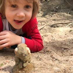 Wild Life Forest Preschool