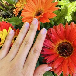 Le Soleil Natural and Organic Nail Salon and Spa