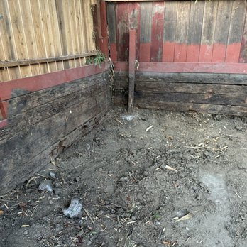 Pacific Premier Landscape Inc. - Before - Landscaping Near Me - Castro Valley, California