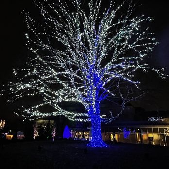 Winterlights at Newfields - Festivals Near Me - Indianapolis, Indiana Winterlights at Newfields - Festivals Near Me - Indianapolis, Indiana