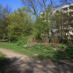 Hundewiese Alsenpark