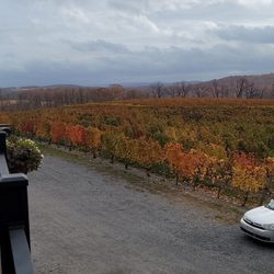 Shade Mountain Winery