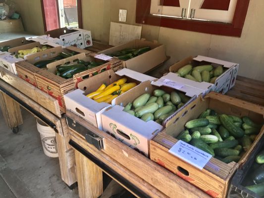 Lake Hills Farm Fresh Produce by null