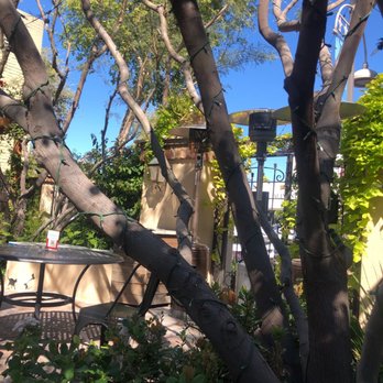 Schmooze - Coffee & Tea Near Me - Scottsdale, Arizona Schmooze - Coffee & Tea Near Me - Scottsdale, Arizona