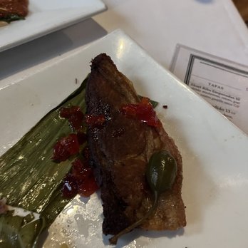 Pacífico - Pork Belly - Latin American Near Me - New Haven, Connecticut