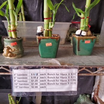 Feng Shui Arts & Gifts - Gift Shops Near Me - Honolulu, Hawaii