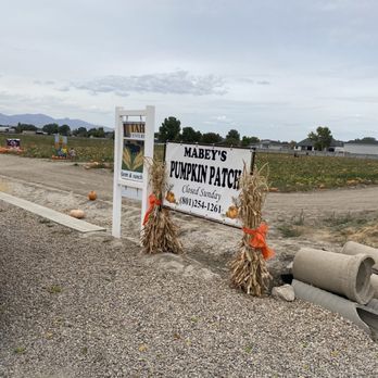 Mabey’s Pumpkin Patch - Pumpkin Patches Near Me - South Jordan, Utah
