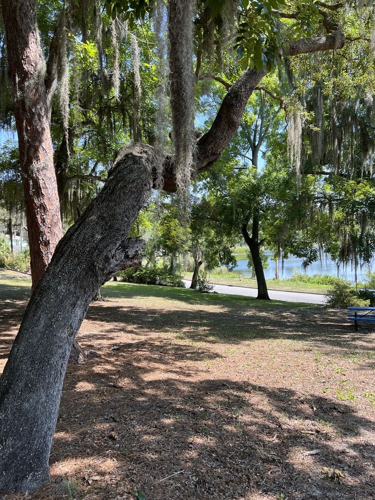Azalea Park Image