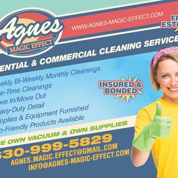 Agnes Magic Effect - Home Cleaning Near Me - Addison, Illinois