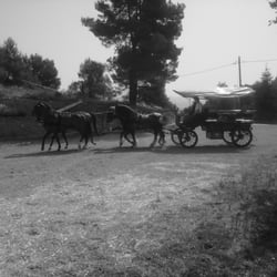 Armengol Torras
