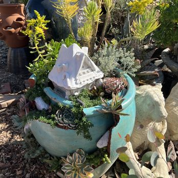 Rod’s Nursery - Nurseries & Gardening Near Me - Santa Paula, California Rod’s Nursery - Nurseries & Gardening Near Me - Santa Paula, California