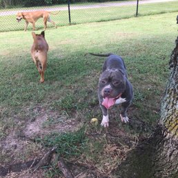 The boys making new friends! The boys making new friends!