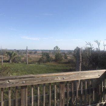Castaway Island Preserve - Salt marsh view - Hiking Near Me - Jacksonville, Florida Castaway Island Preserve - Salt marsh view - Hiking Near Me - Jacksonville, Florida