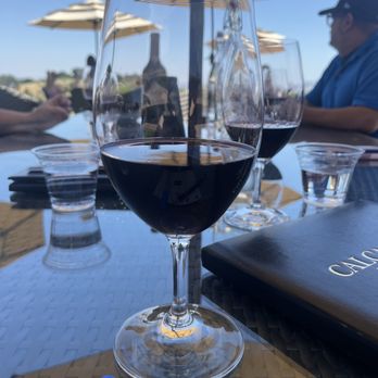 Calcareous Vineyard - Lloyd!! - Wine Tasting Room Near Me - Paso Robles, California