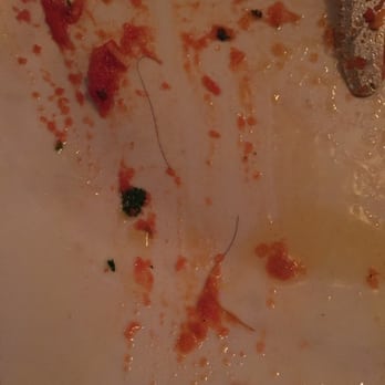 Rustico - Here is the hair. We noticed it after we boxed the food. - Italian Near Me - Murrieta, California Rustico - Here is the hair. We noticed it after we boxed the food. - Italian Near Me - Murrieta, California