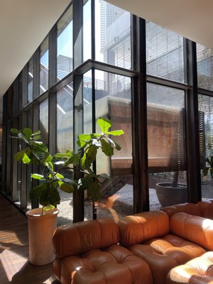 South Congress Hotel by null