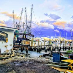 Cherry Point Seafood Company