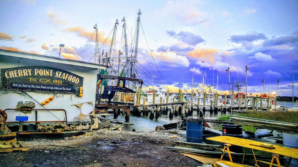 CHERRY POINT SEAFOOD COMPANY Updated June 2024 49 Photos & 11