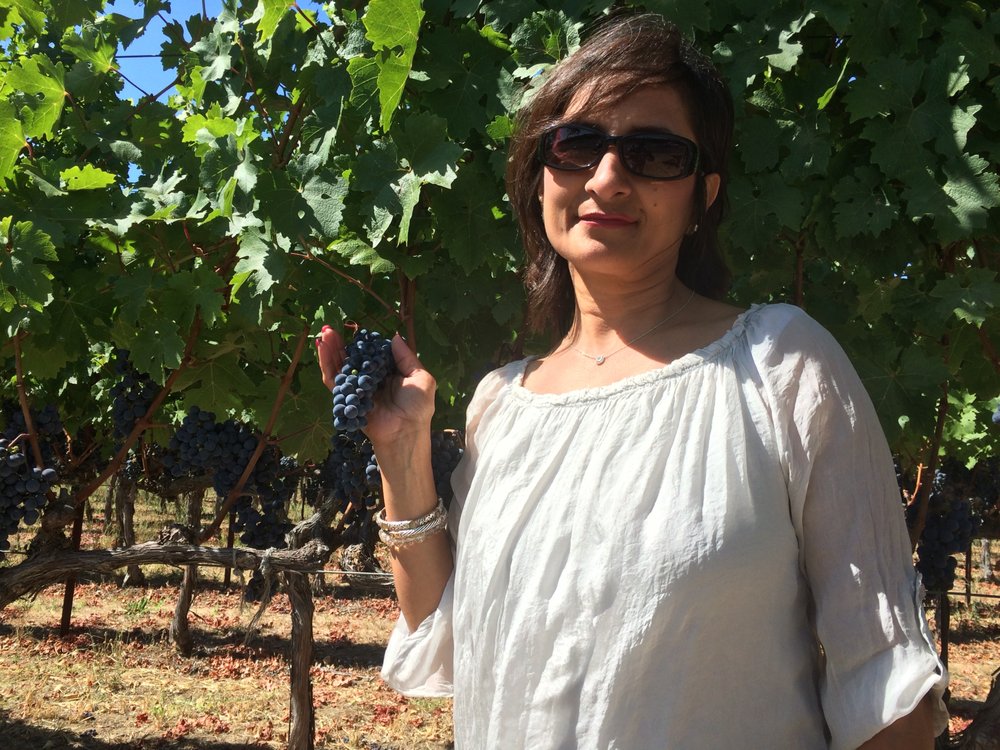 WINE CELLAR OF MORRISTOWN Updated September 2024 13 Reviews 163