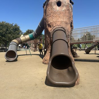 Sabercat Playground - Main slide tree house - Parks Near Me - Fremont, California Sabercat Playground - Main slide tree house - Parks Near Me - Fremont, California