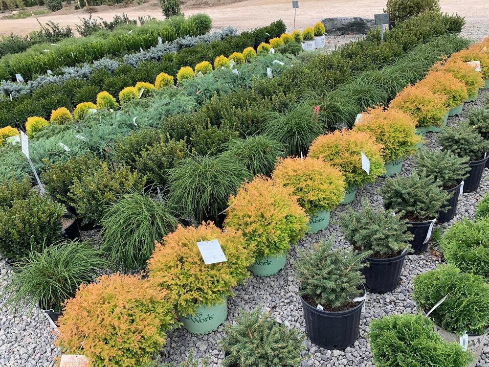 ELLIOTT’S GARDEN CENTER Updated September 2024 11 Photos 1283 W