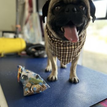 Wet Nose Grooming - Pet Groomers Near Me