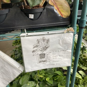 Natty Garden - Nurseries & Gardening Near Me - Brooklyn, New York