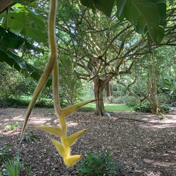 Hoomaluhia Botanical Garden - Botanical Gardens Near Me - Kaneohe, Hawaii Hoomaluhia Botanical Garden - Botanical Gardens Near Me - Kaneohe, Hawaii
