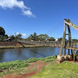 Polynesian Adventure Tours - Hanging bridge