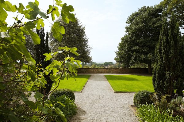 Hart's Hotel and Kitchen by null