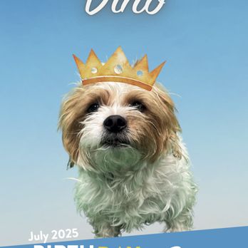 Dogtopia of Ahwatukee - Birthdays are a big deal around here. - Pet Boarding Near Me - Phoenix, Arizona Dogtopia of Ahwatukee - Birthdays are a big deal around here. - Pet Boarding Near Me - Phoenix, Arizona