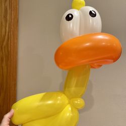 Duck