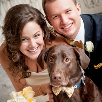 Salon Argent - Wedding hair by Drew Teal - Hair Stylists Near Me - Salem, Oregon Salon Argent - Wedding hair by Drew Teal - Hair Stylists Near Me - Salem, Oregon