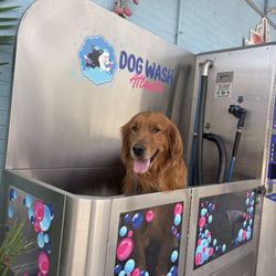 Kirkwood Car Wash
