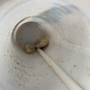 Tropical Smoothie Cafe - 2nd time whole dates not blended are in my smoothie - Juice Bars & Smoothies Near Me - Patchogue, New York Tropical Smoothie Cafe - 2nd time whole dates not blended are in my smoothie - Juice Bars & Smoothies Near Me - Patchogue, New York