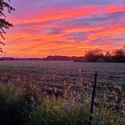 Kamper Kompanion RV Park - "Beautiful sunrises and sunsets"