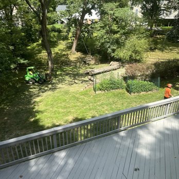 Secure Arbor - Tree Services Near Me Secure Arbor - Tree Services Near Me